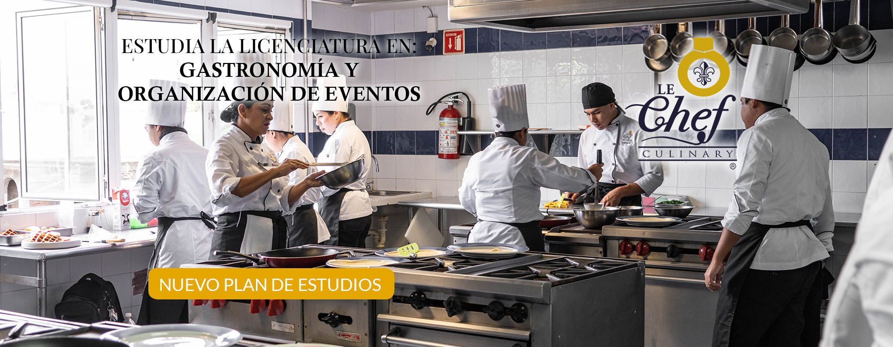 Diplomado en Gastronomía en Veracruz